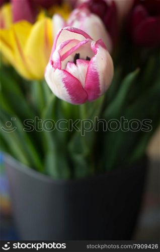 bunch of colorful tulips