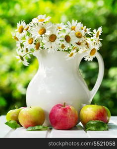 bunch of daisy flowers