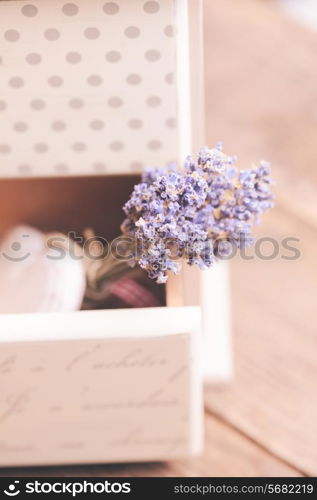 Bunch of dry lavender in decorative little shabby chic chest of drawers