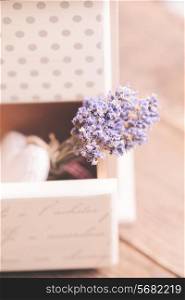 Bunch of dry lavender in decorative little shabby chic chest of drawers