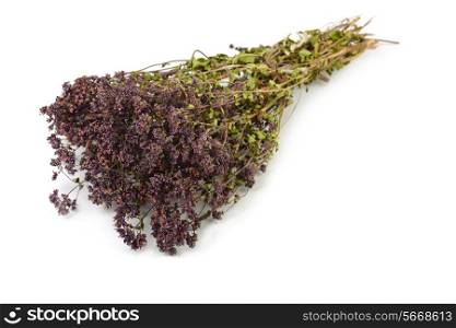 Bunch of dry oregano isolated on white
