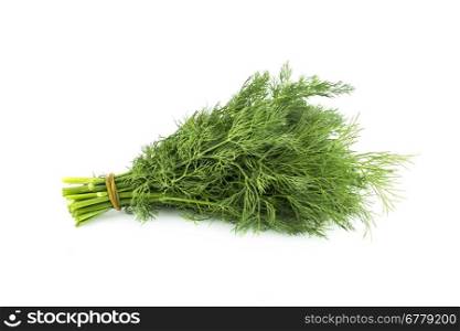 bunch of Fennel plant leaves. a bunch of Fennel plant leaves on a white background