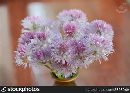 Bunch of flowers in a vase