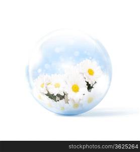 bunch of fresh camomile flowers inside a glass sphere