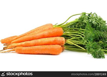 Bunch of fresh carrots with leaves on white background