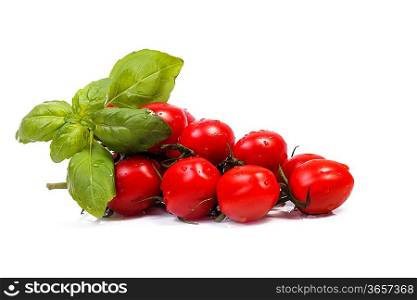 Bunch of fresh cherry tomato with basil, on white background