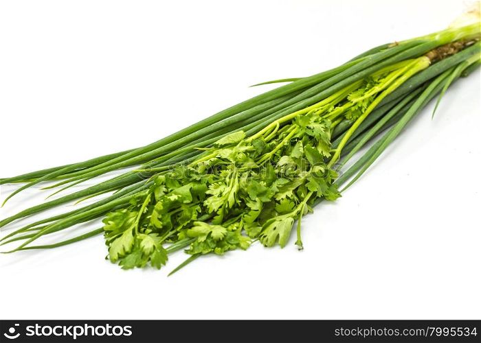 bunch of fresh cilantro and Spring onions on white background