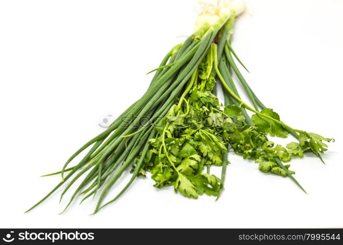 bunch of fresh cilantro and Spring onions on white background