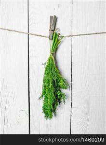 Bunch of fresh dill hanging on a string. On white wooden wall.. Bunch of fresh dill hanging on a string.