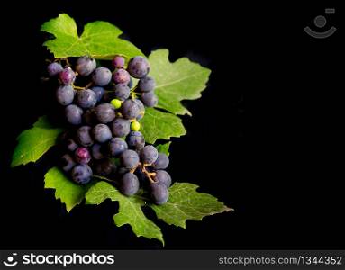 bunch of fresh grapes and grape leaves isolated on black background