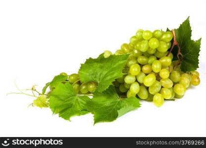 Bunch of fresh grapes isolated on white