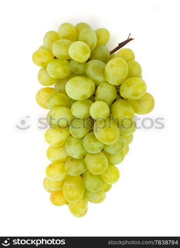 Bunch of fresh grapes isolated on white&#xA;