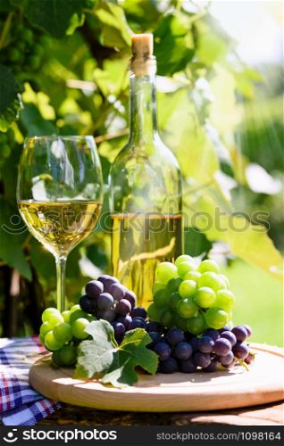 Bunch of fresh grapes next to white wine in a bottle and wineglass on the background of a rustic vineyard and sunlight.