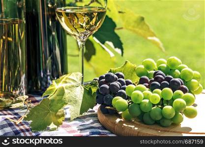 Bunch of fresh grapes next to wine in a bottle and wineglass on the background of a rustic vineyard and sunlight.