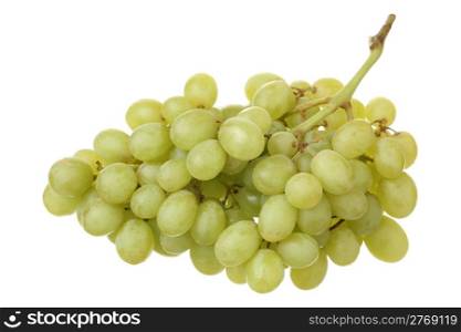 Bunch of fresh grapes on white background