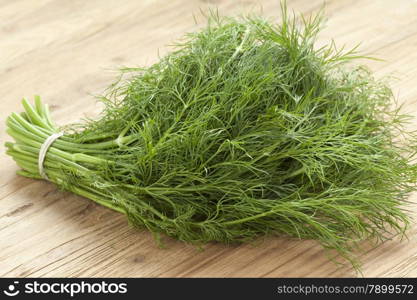 Bunch of fresh green dill