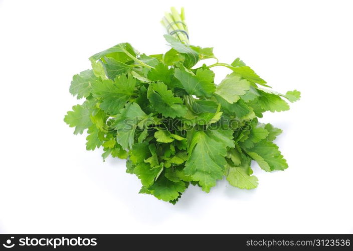 Bunch of fresh green parsley isolated on white background