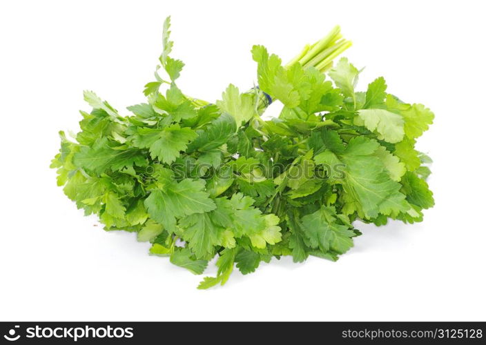 Bunch of fresh green parsley isolated on white background