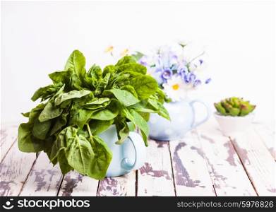 Bunch of fresh green spinach in blue cup. Spinach bunch in cup
