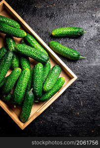 Bunch of fresh homemade cucumbers. On a black background. High quality photo. Bunch of fresh homemade cucumbers.