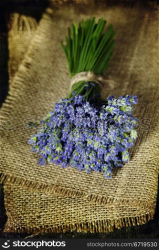 Bunch of fresh lavender close-up on wooden surface