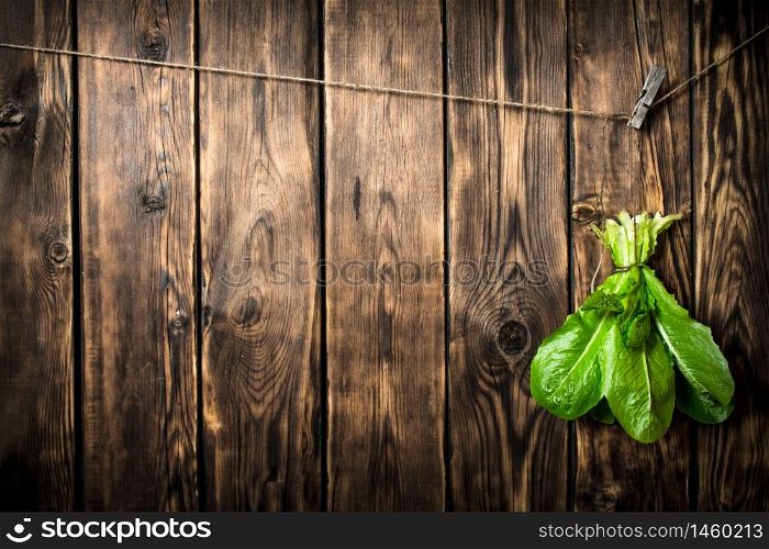 Bunch of fresh leaves hanging on a string. On wooden background.. Bunch of fresh leaves hanging on a string.