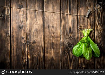 Bunch of fresh leaves hanging on a string. On wooden background.. Bunch of fresh leaves hanging on a string.