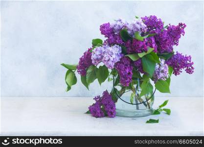 Bunch of fresh lilac flowers in vase on gray background background. Fresh lilac flowers