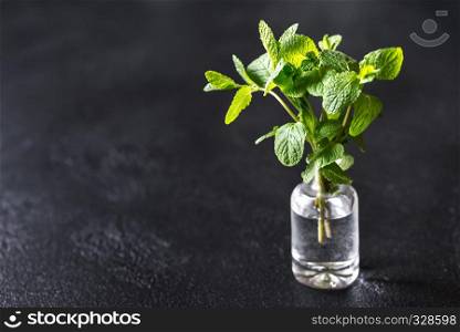 Bunch of fresh mint in the glass vase