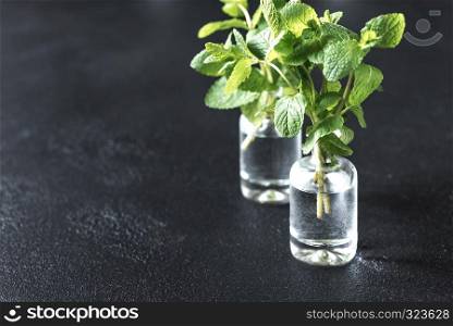 Bunch of fresh mint in the glass vials