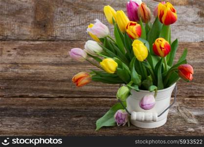 bunch of fresh muticolored tulips in white pot on aged wooden table. pile of multicolored tulips