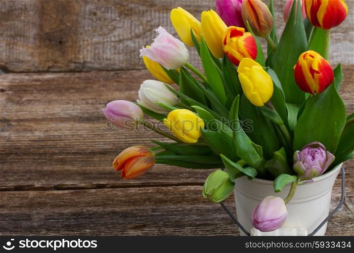 bunch of fresh muticolored tulips in white pot on wooden table