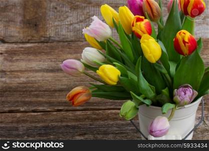 bunch of fresh muticolored tulips in white pot on wooden table