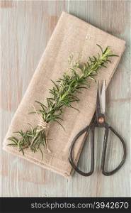 Bunch of fresh of garden rosemary on wooden table, rustic style, fresh organic herbs. Top view with copy space