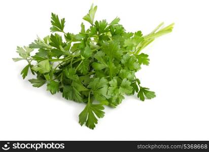 Bunch of fresh parsley isolated on white on white