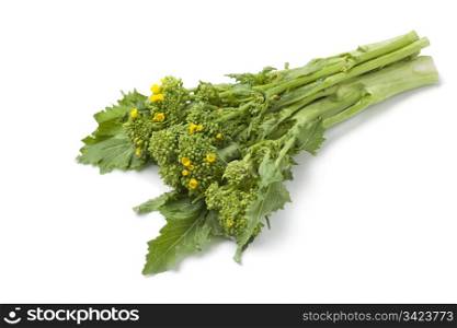 Bunch of fresh picked broccolini on white background