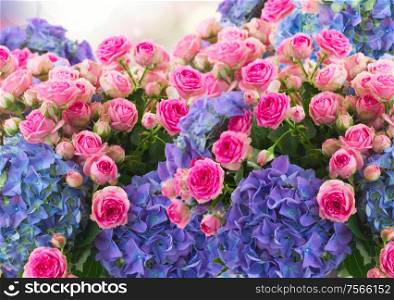 bunch of fresh pink roses and blue hortenzia flowers on blue sky background