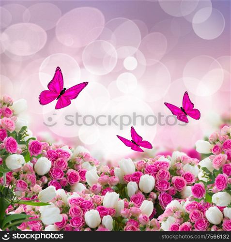 bunch of fresh pink roses and wtite tulips flowers with butterflies on bokeh background. bunch of roses and tulips