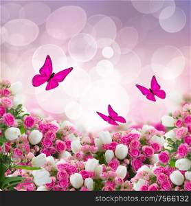 bunch of fresh pink roses and wtite tulips flowers with butterflies on bokeh background. bunch of roses and tulips