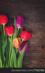 bunch of fresh purple and red tulips on wooden background, retro toned. bouquet of purple and red  tulips