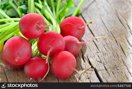 bunch of fresh radish on rustic wooden background
