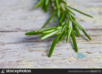 Bunch of fresh rosemary on a wooden background
