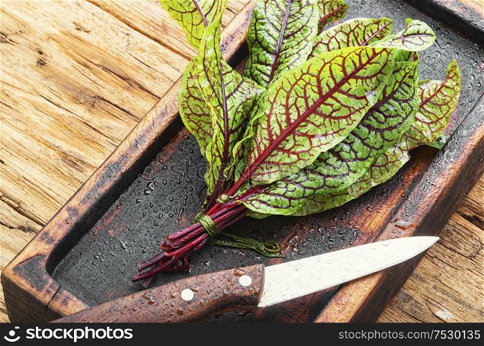 Bunch of fresh sorrel on wooden table.Sorrel bloody mary. Sorrel bloody mary