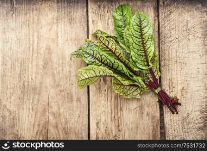 Bunch of fresh sorrel on wooden table.Sorrel bloody mary.Space for text. Raw sorrel leaves