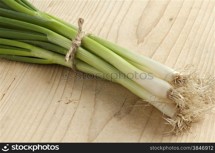 Bunch of fresh spring onions