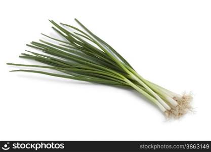 Bunch of fresh spring onions on white background