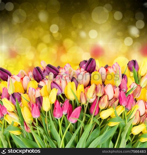 Bunch of fresh spring tulips flowers on festive background