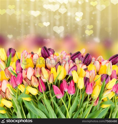 Bunch of fresh spring tulips flowers on festive background with hearts. tulips flowers on fesrive background with hearts
