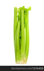 Bunch of fresh stem green celery. Studio Photo. Bunch of fresh stem green celery.