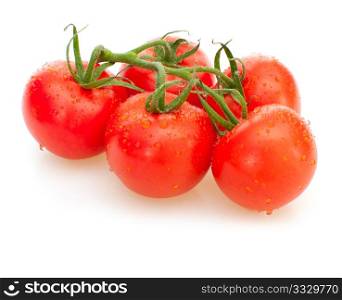 Bunch of Fresh Tomatoes on White Background